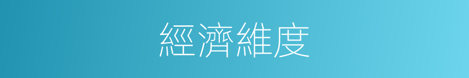 經濟維度的同義詞