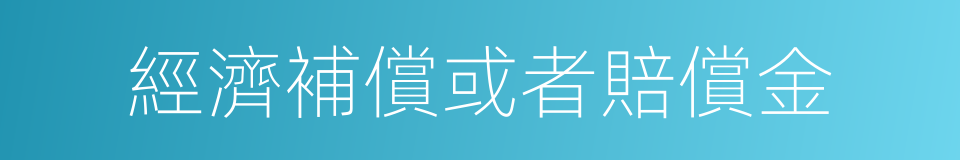 經濟補償或者賠償金的同義詞