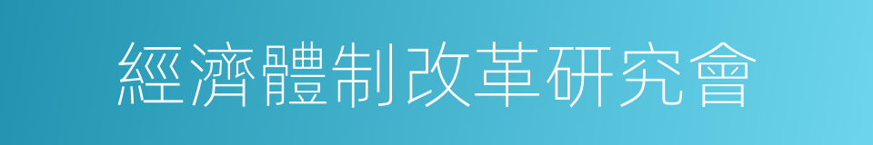 經濟體制改革研究會的同義詞
