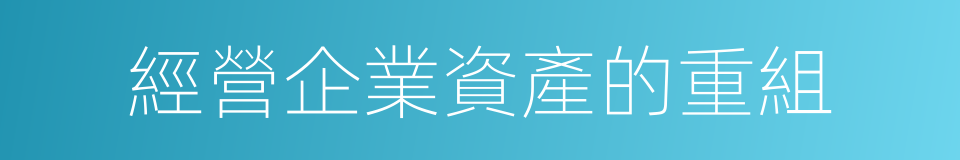 經營企業資產的重組的同義詞