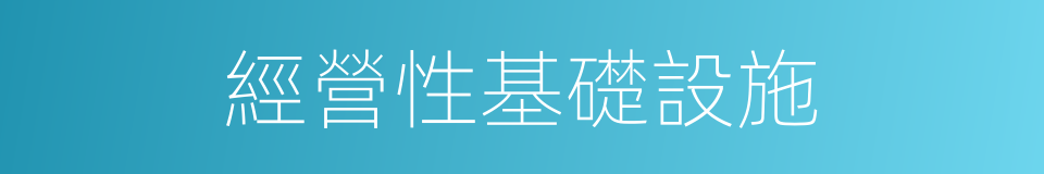 經營性基礎設施的同義詞