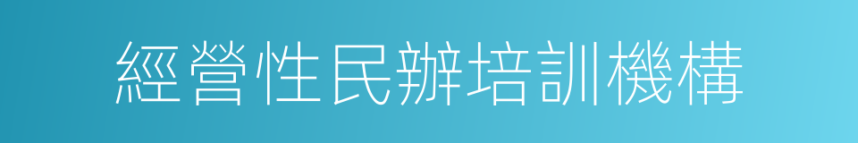 經營性民辦培訓機構的同義詞