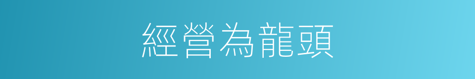 經營為龍頭的同義詞