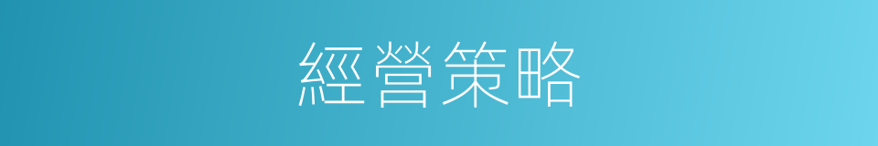 經營策略的意思