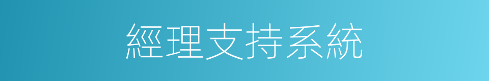 經理支持系統的同義詞
