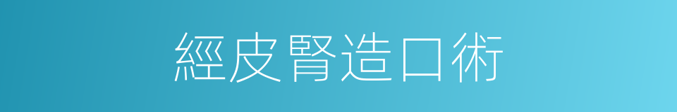 經皮腎造口術的同義詞