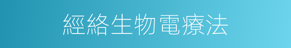 經絡生物電療法的同義詞