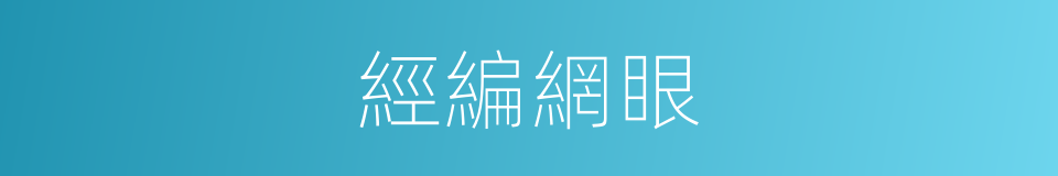 經編網眼的同義詞