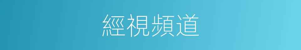 經視頻道的同義詞