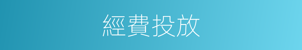 經費投放的同義詞