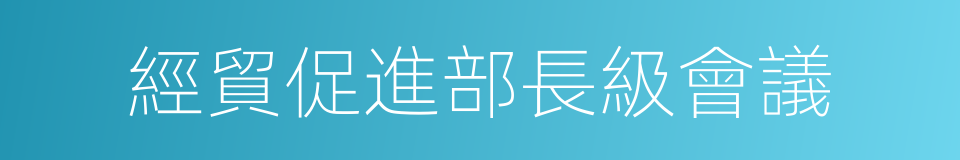 經貿促進部長級會議的同義詞