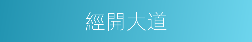 經開大道的同義詞