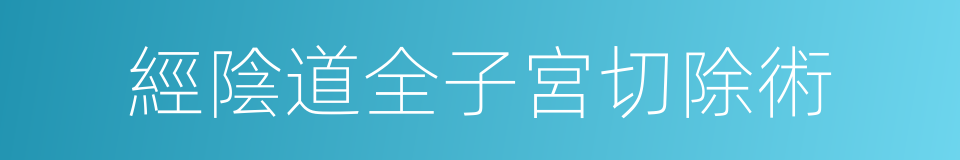 經陰道全子宮切除術的同義詞