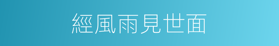 經風雨見世面的意思