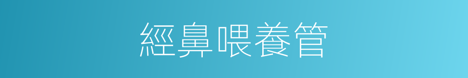 經鼻喂養管的同義詞