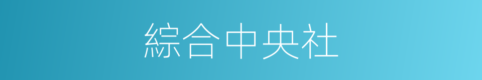 綜合中央社的同義詞