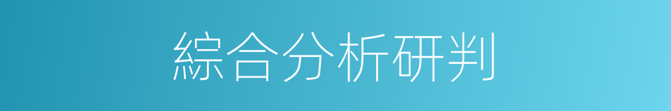 綜合分析研判的同義詞