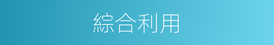 綜合利用的意思