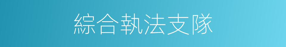 綜合執法支隊的同義詞