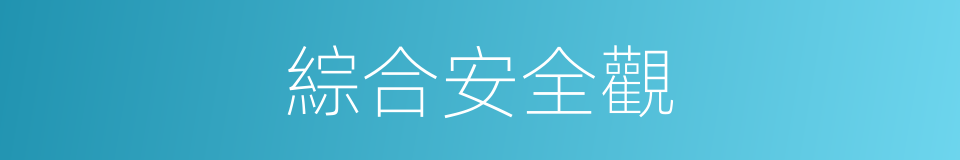 綜合安全觀的同義詞