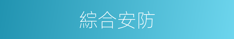 綜合安防的同義詞
