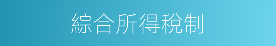 綜合所得稅制的同義詞