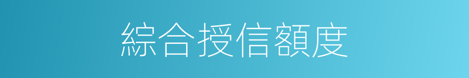 綜合授信額度的同義詞