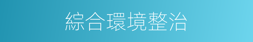 綜合環境整治的同義詞