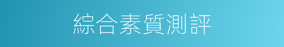綜合素質測評的同義詞