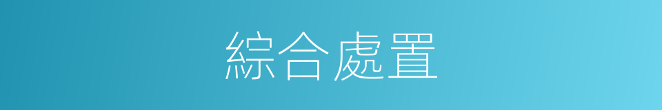 綜合處置的同義詞