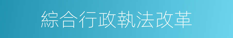 綜合行政執法改革的同義詞