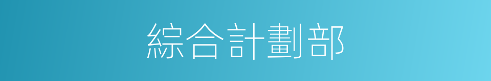 綜合計劃部的同義詞