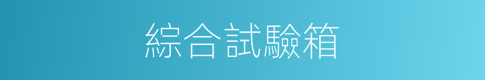 綜合試驗箱的同義詞