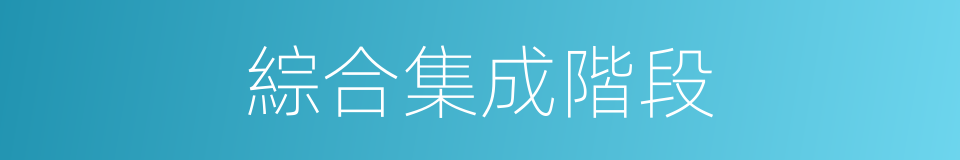 綜合集成階段的同義詞