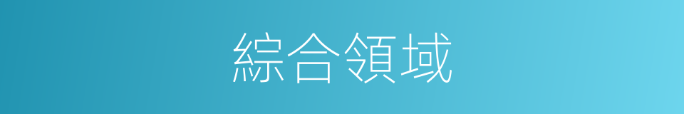 綜合領域的同義詞