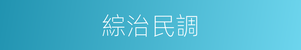 綜治民調的同義詞