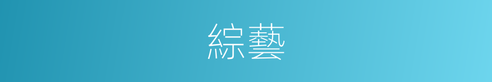 綜藝的意思