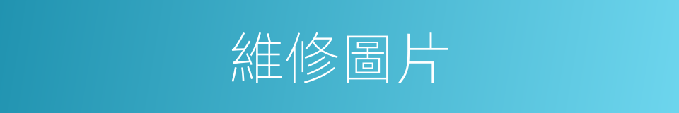 維修圖片的同義詞