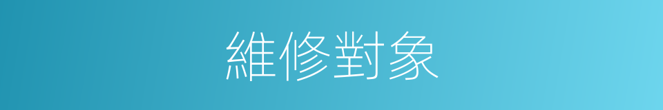 維修對象的同義詞