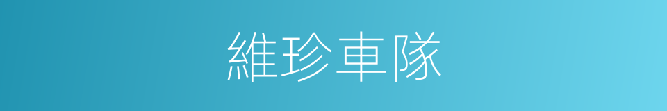 維珍車隊的同義詞