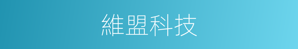 維盟科技的同義詞