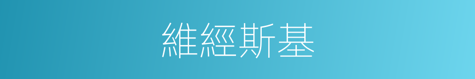 維經斯基的同義詞