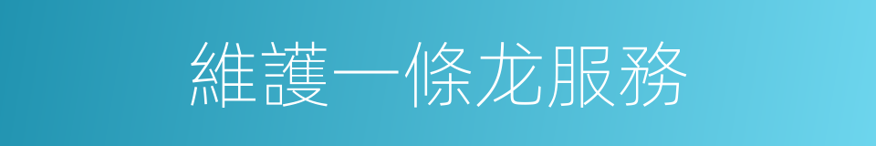 維護一條龙服務的同義詞