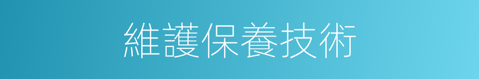 維護保養技術的同義詞