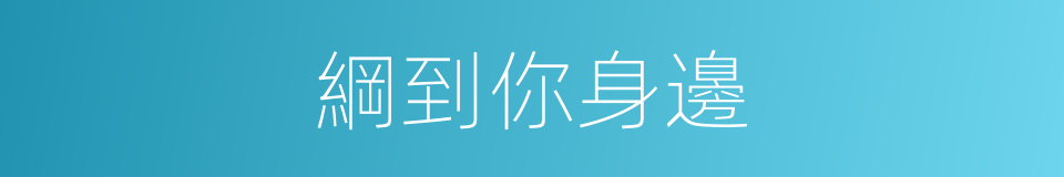 綱到你身邊的同義詞