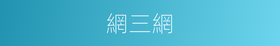 網三網的同義詞