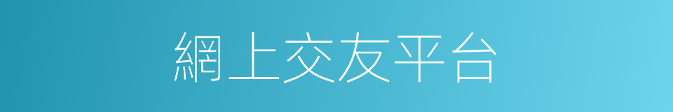 網上交友平台的同義詞