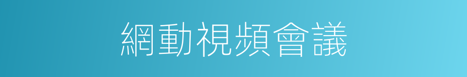 網動視頻會議的同義詞