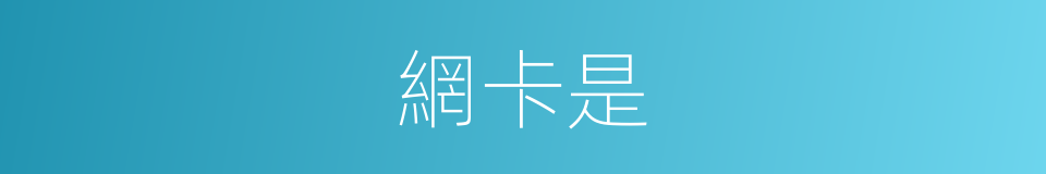 網卡是的意思