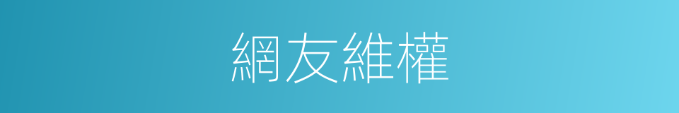 網友維權的同義詞